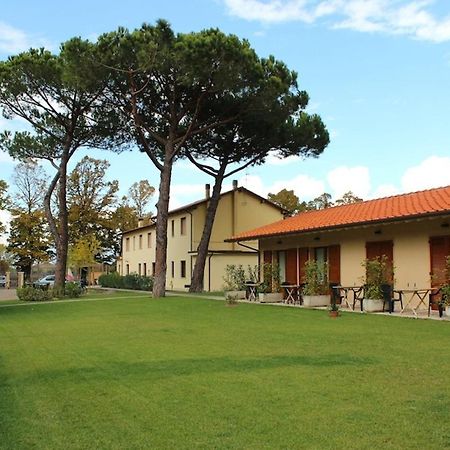 Villa Rosy Torre del Lago Puccini Ngoại thất bức ảnh
