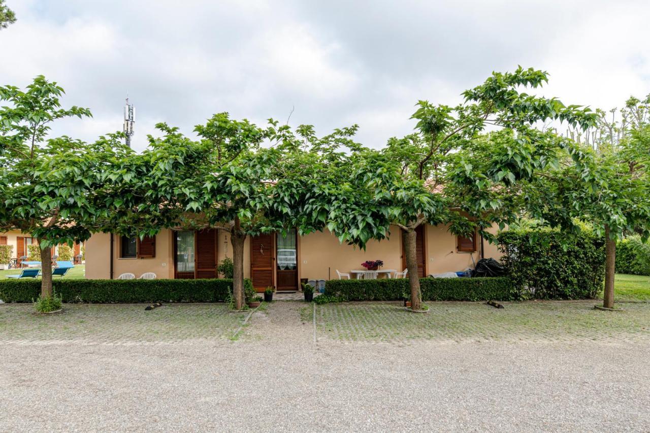 Villa Rosy Torre del Lago Puccini Ngoại thất bức ảnh